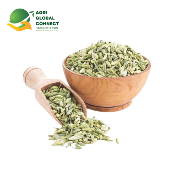 Fennel Seeds